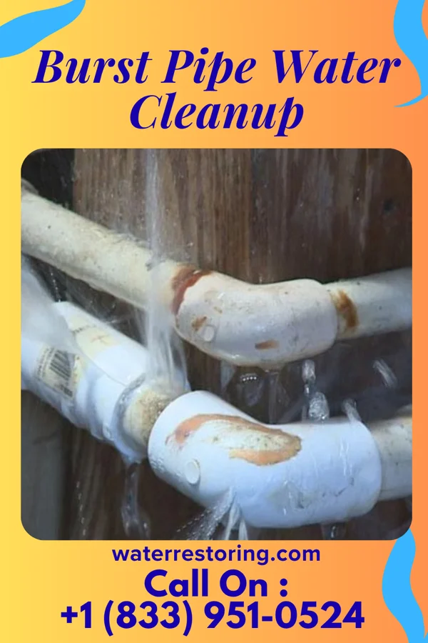 Burst Pipe Water Cleanup in Frystown, PA