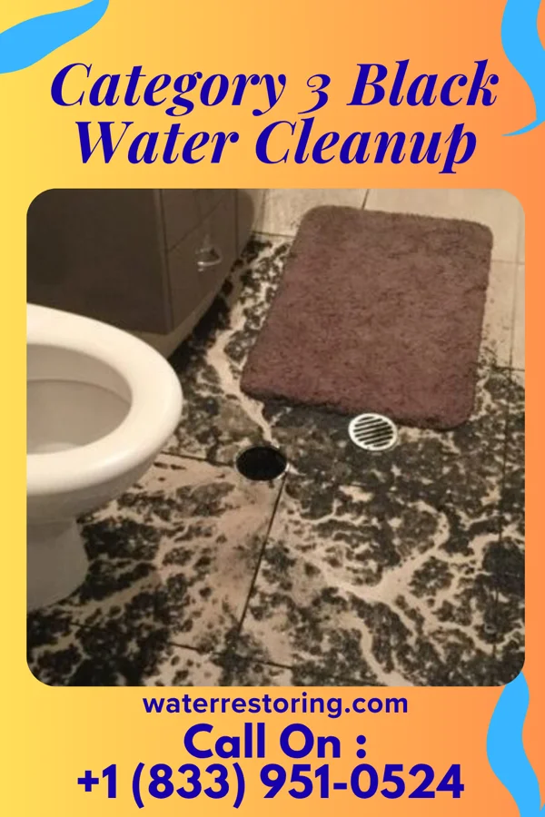 Category 3 Black Water Cleanup in Frystown, PA