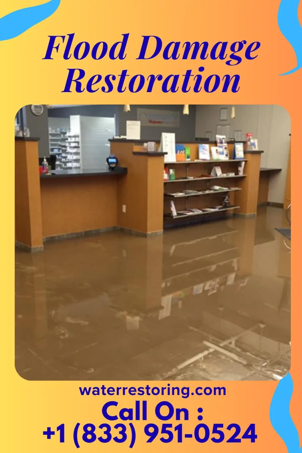 Flood Damage Restoration in Frystown, PA