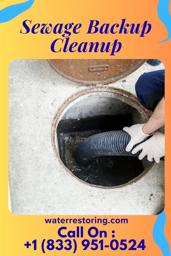 Sewage Backup Cleanup in Frystown, PA