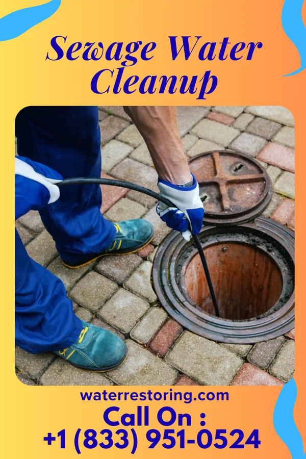 Sewage Water Cleanup in Frystown, PA