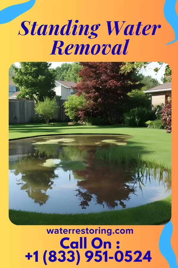 Standing Water Removal in Frystown, PA